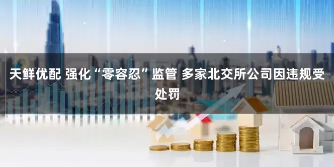 天鲜优配 强化“零容忍”监管 多家北交所公司因违规受处罚