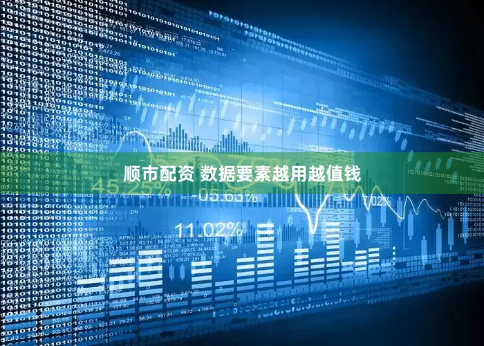 顺市配资 数据要素越用越值钱