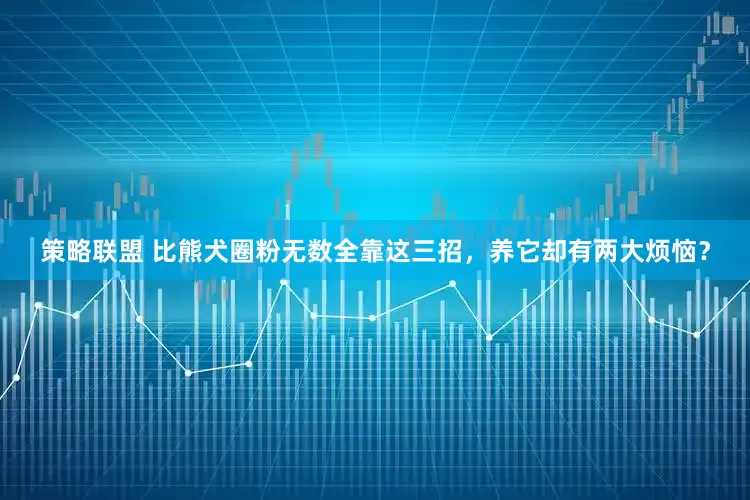 策略联盟 比熊犬圈粉无数全靠这三招，养它却有两大烦恼？