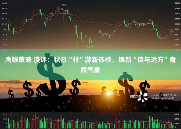鹰眼策略 漫评：秋日“村”游新体验，焕新“诗与远方”盎然气象