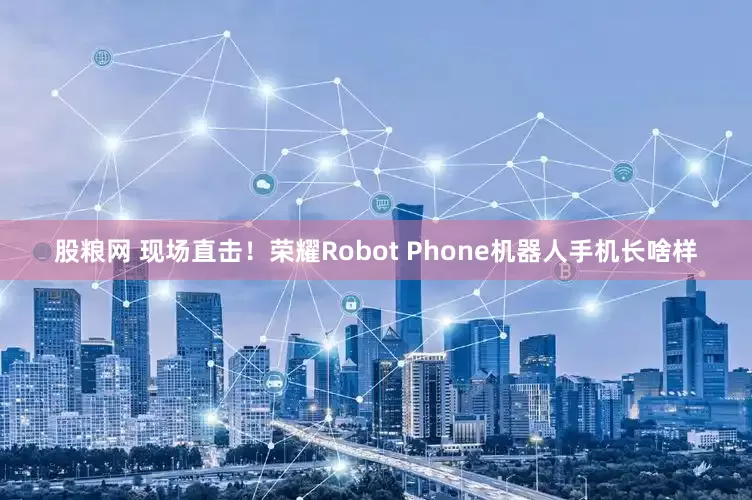 股粮网 现场直击！荣耀Robot Phone机器人手机长啥样